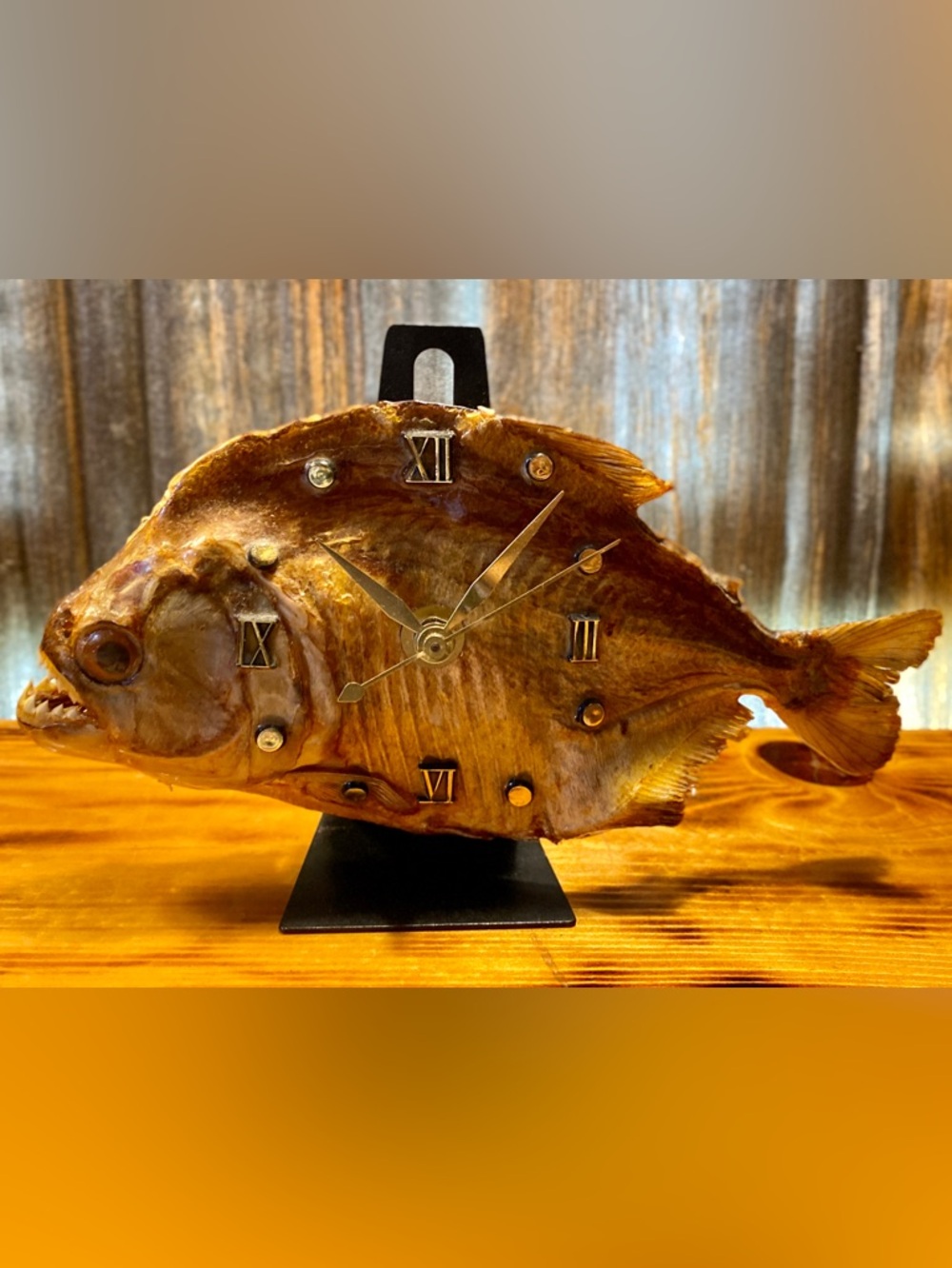 TAXIDERMY PIRANHA CLOCK